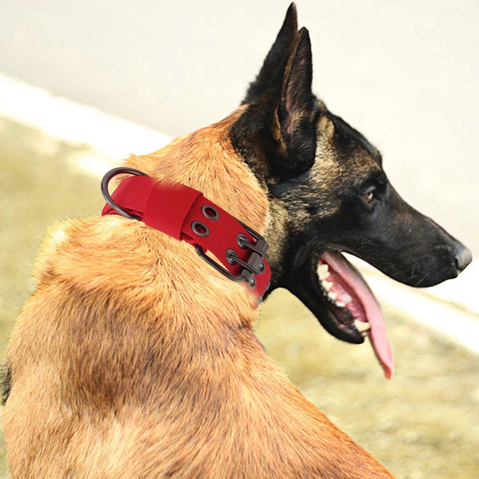 

1.5" Width Military Dog Collar Tactical Dog Collar for Medium Large Dog Outside Training,Walking and Hunting Length Adjustable