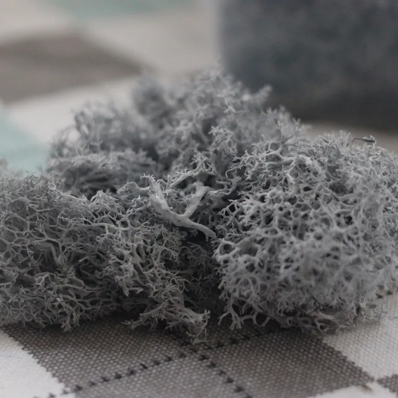 

100g Natural Plant Immortal Flower Reindeer Moss Lawn Decorative DIY Mini Flower Accessories Home Garden Living Room Wall