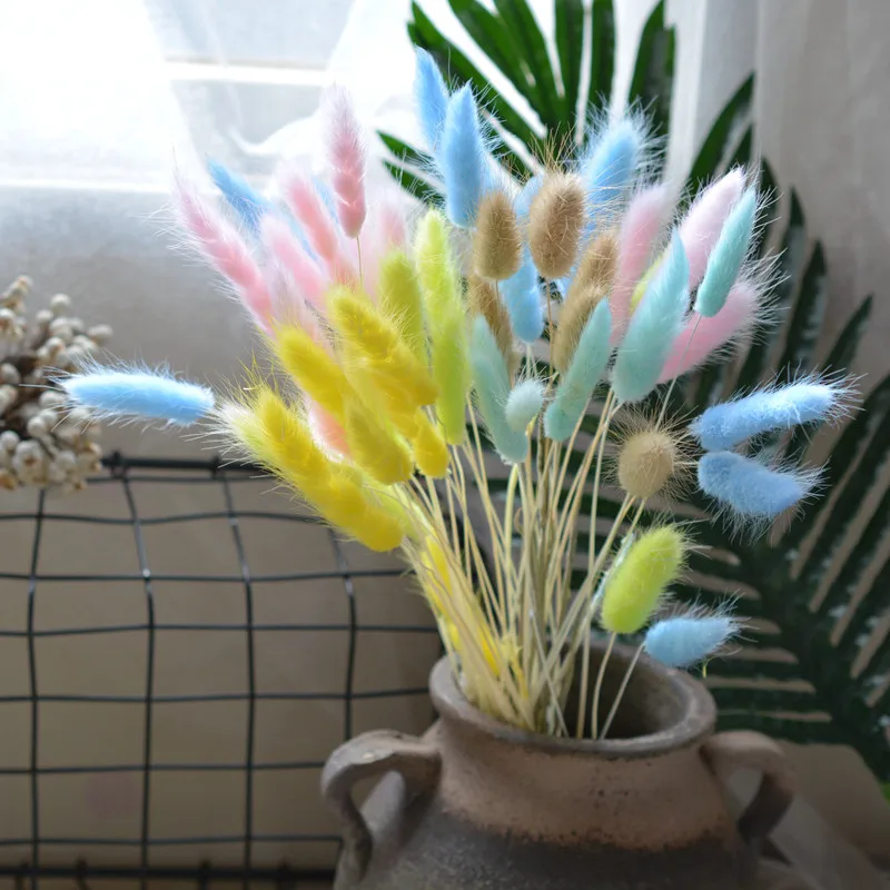 

50 Stems Mixed color Dried Flower Rabbit Bunny Tail Bunch Natural Plants Floral Rabbit Grass Bouquet for Home Wedding Flower