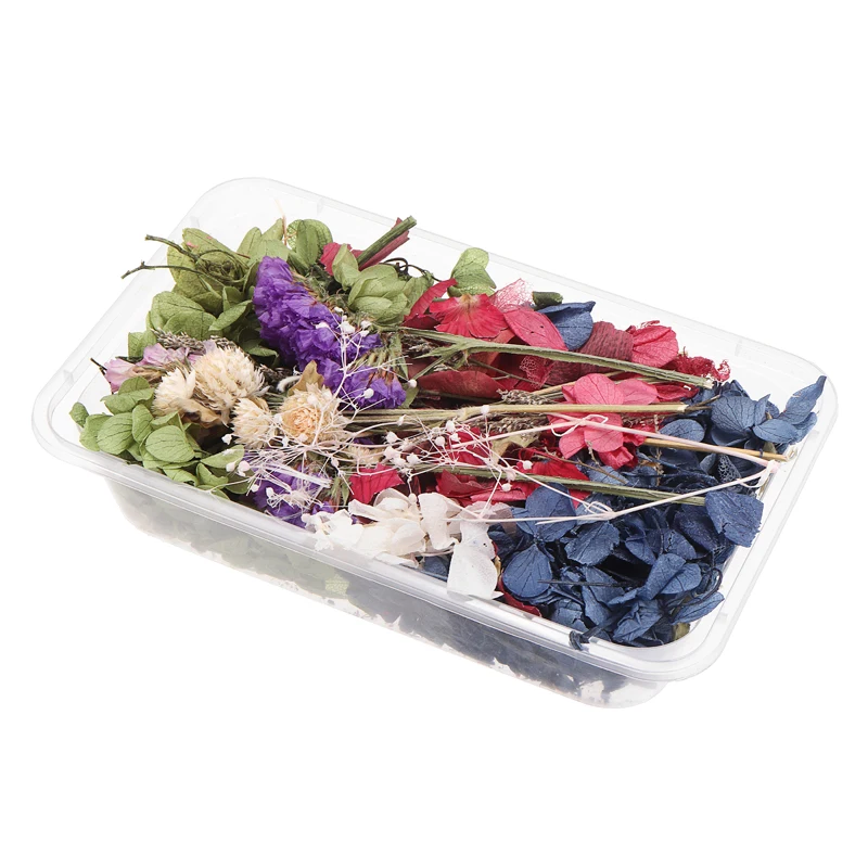 1 коробка настоящие высушенные лист Цветы гербарий из растений Craft ювелирных
