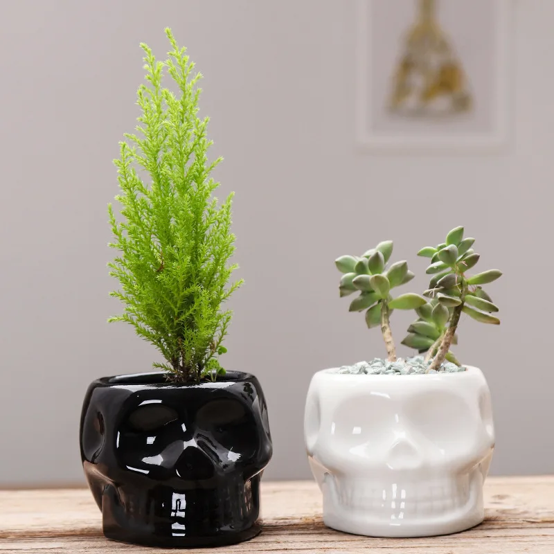 

Creative Cartoons Ceramic Mini Skull Flowerpot Simple Succulent Plant Container Green Planters Small Bonsai Pots Home Decoration