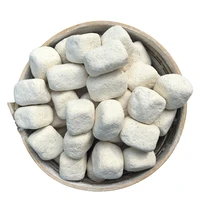 sweet glutinous rice wine accessories wine making material cerevisiae wine plant distillers yeast alcohol yeast