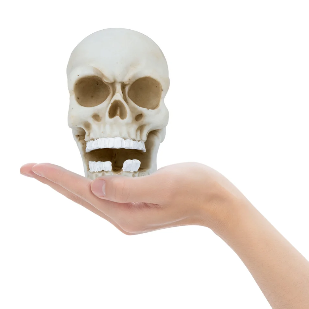 

Halloween Creative Skull Sculpture Key Cable Storage Hook Wall Mount Resin Skeleton Desk Ornament Statue Halloween Party Decor
