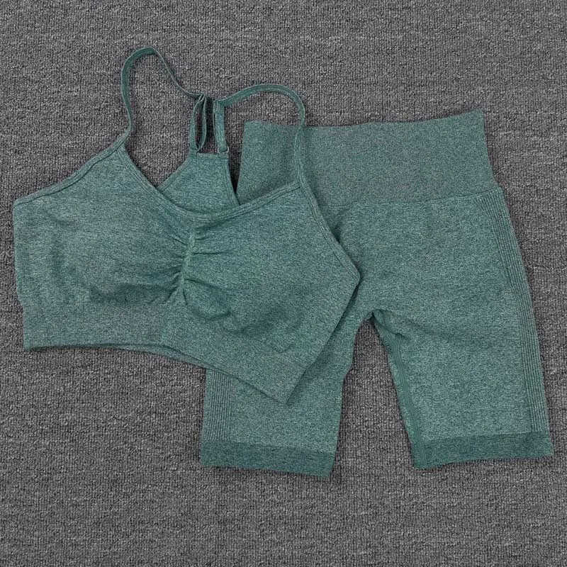 ASHEYWR Sport Suit Women Gym Fitness V Neck Bra High Elastic Waist Seamless Shorts Female Workout Tummy Control Yoga Suits