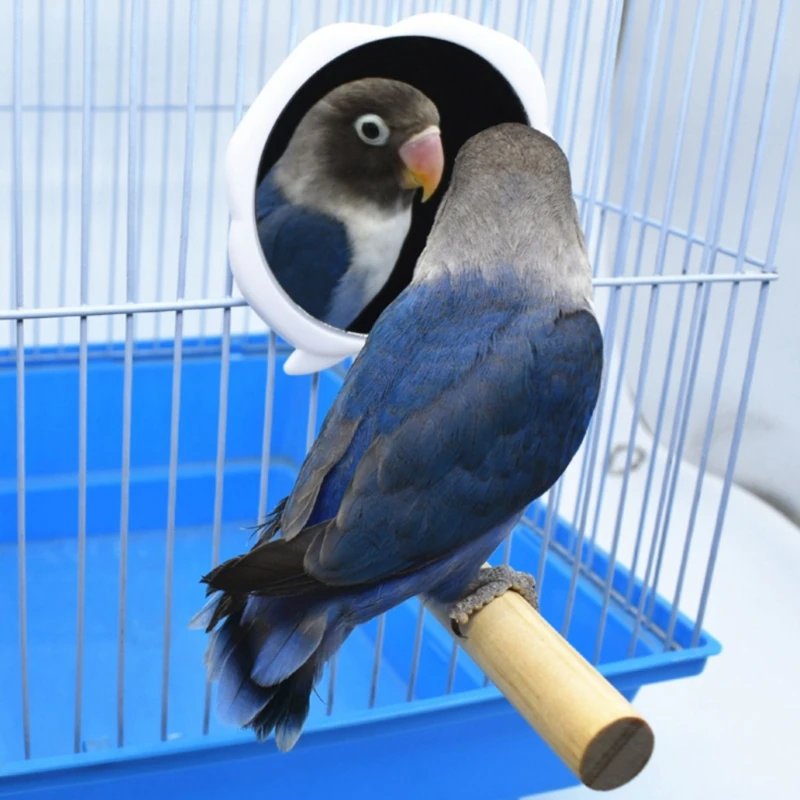 Треугольный куриный Окунь попугай матовая настольная деревянная игрушка для кур