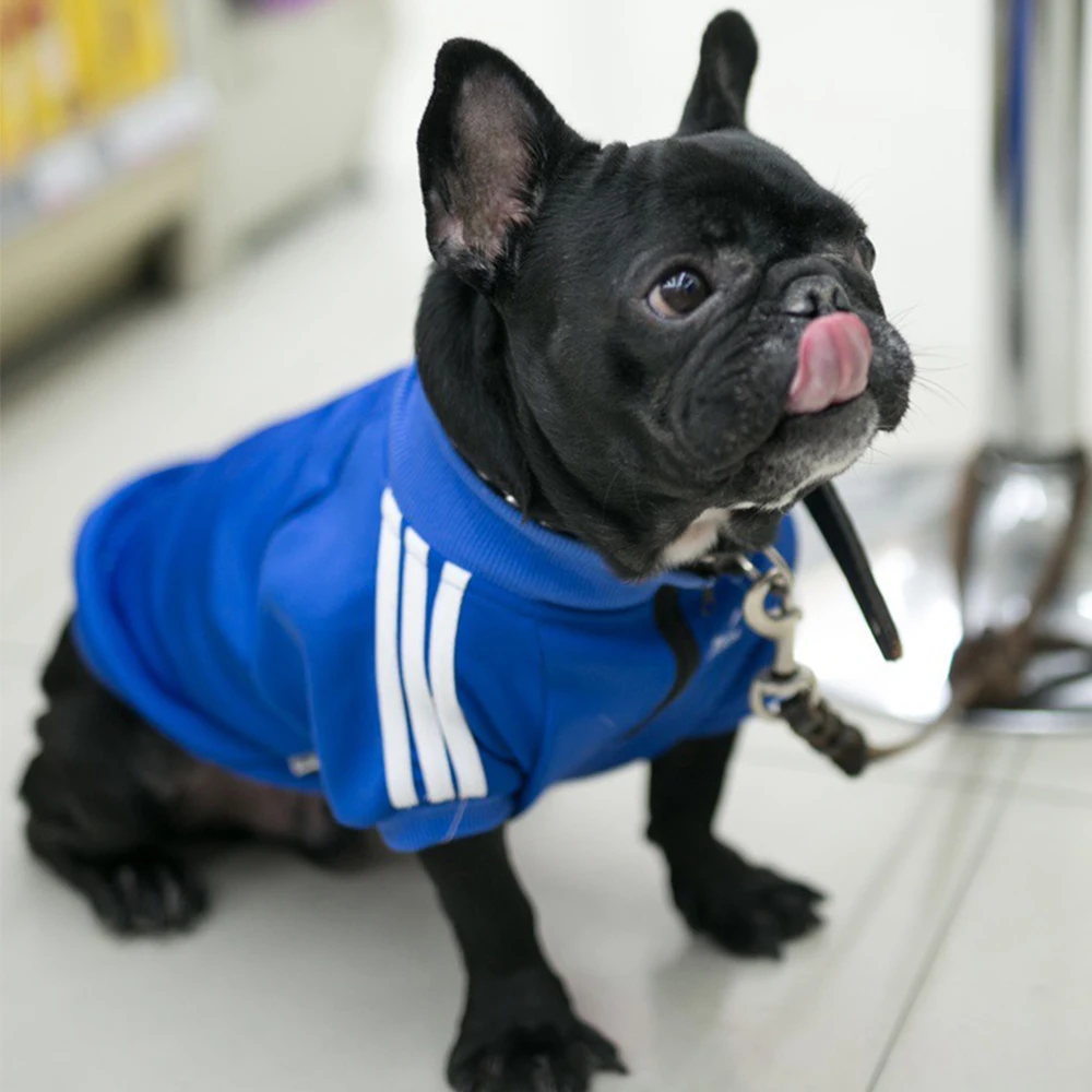 Одежда для собак кошек мопс французская одежда бульдога толстовка с капюшоном