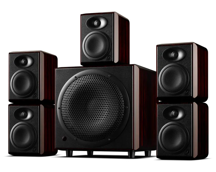 HiVi Лебеди H5 5 1 канал монитора колонки Hi Fi для активного отдыха дома Театр Системы