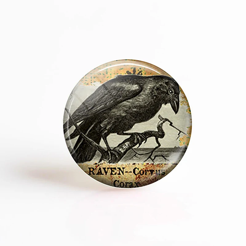 5 шт./лот вороны кардиналы Колибри Сделай Сам круглые стеклянные кабошоны ручной