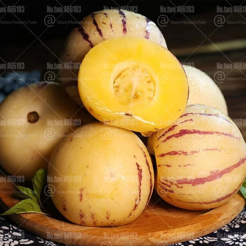 100 шт Редкие Пепино Дыня бонсай Solanum muricatum Aiton вкусные органические фрукты и горшок для овощей растения для домашнего сада