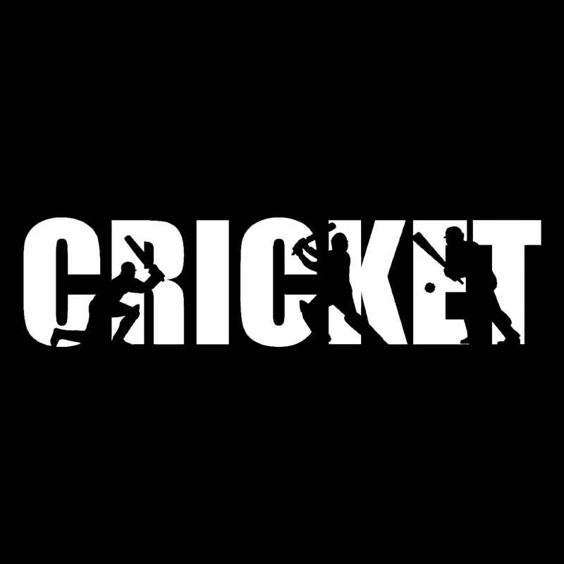 YJZT 18CM*4.5CM Cricket Player Lettering Sport Wonderful Vinyl Car Decal Sticker Funny Rear Windshield Accessories C31-0090 - купить по