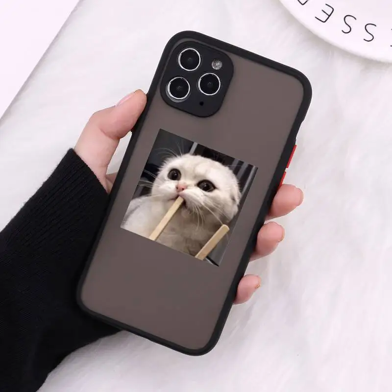 

cat Phone Case Matte For iPhone 12 Mini 11 Pro XR XS Max 7 8 Plus X Hard PC Back Cover