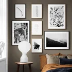 Абстрактная настенная живопись, черно-белый лес, зебра, голубь, Картина на холсте, скандинавские плакаты и принты, настенные картины для декора гостиной