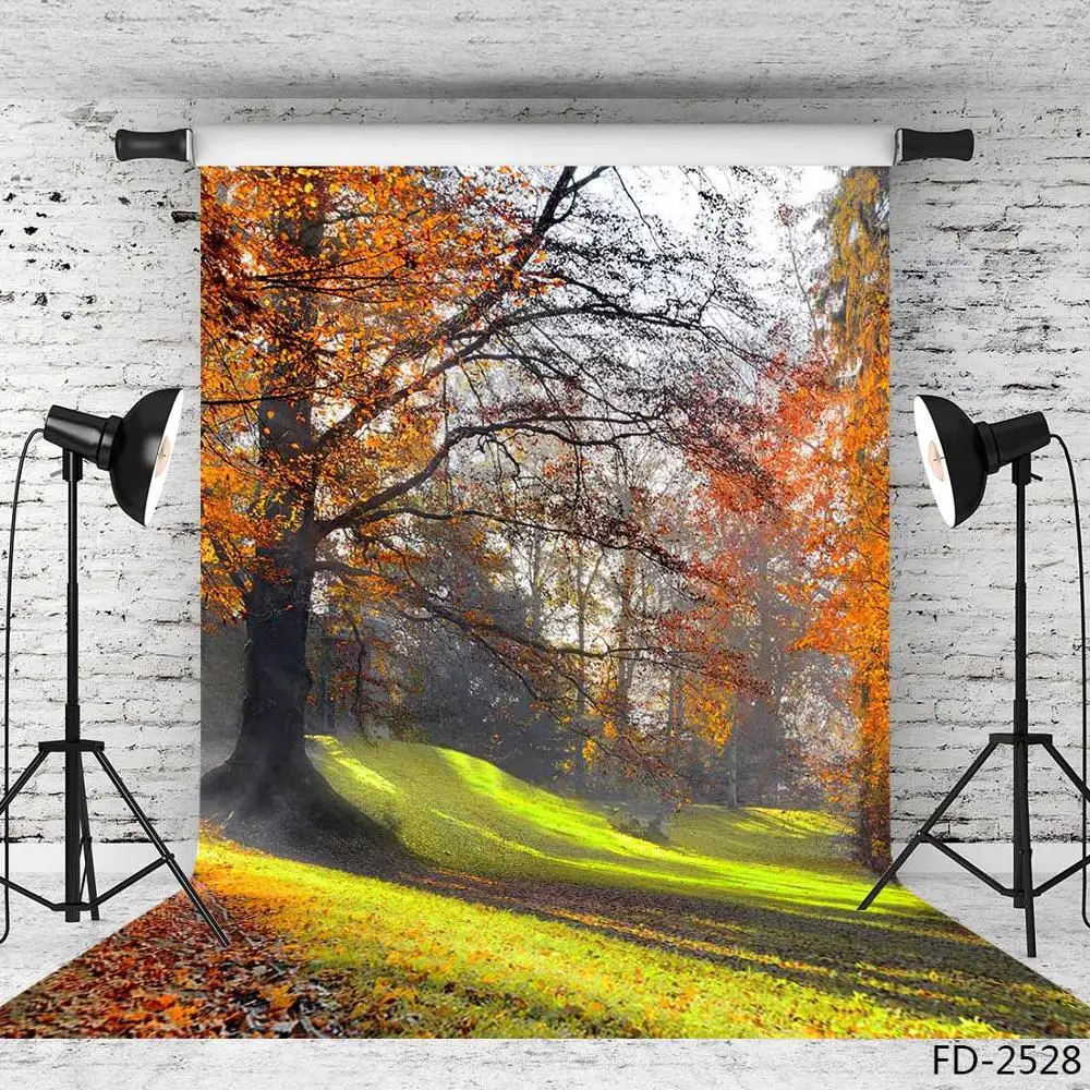 Фон для фотосъемки с изображением осеннего леса упавших листьев дерева