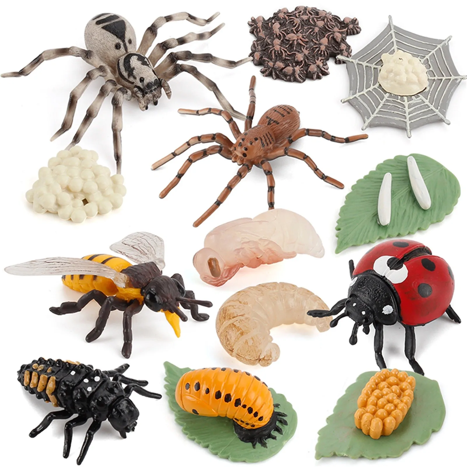 

Simulation Arthropod Life Cycle Of A Spider Bee Ladybugs Model Growth Cycle Action Figures Miniature Educational Toys For Kids