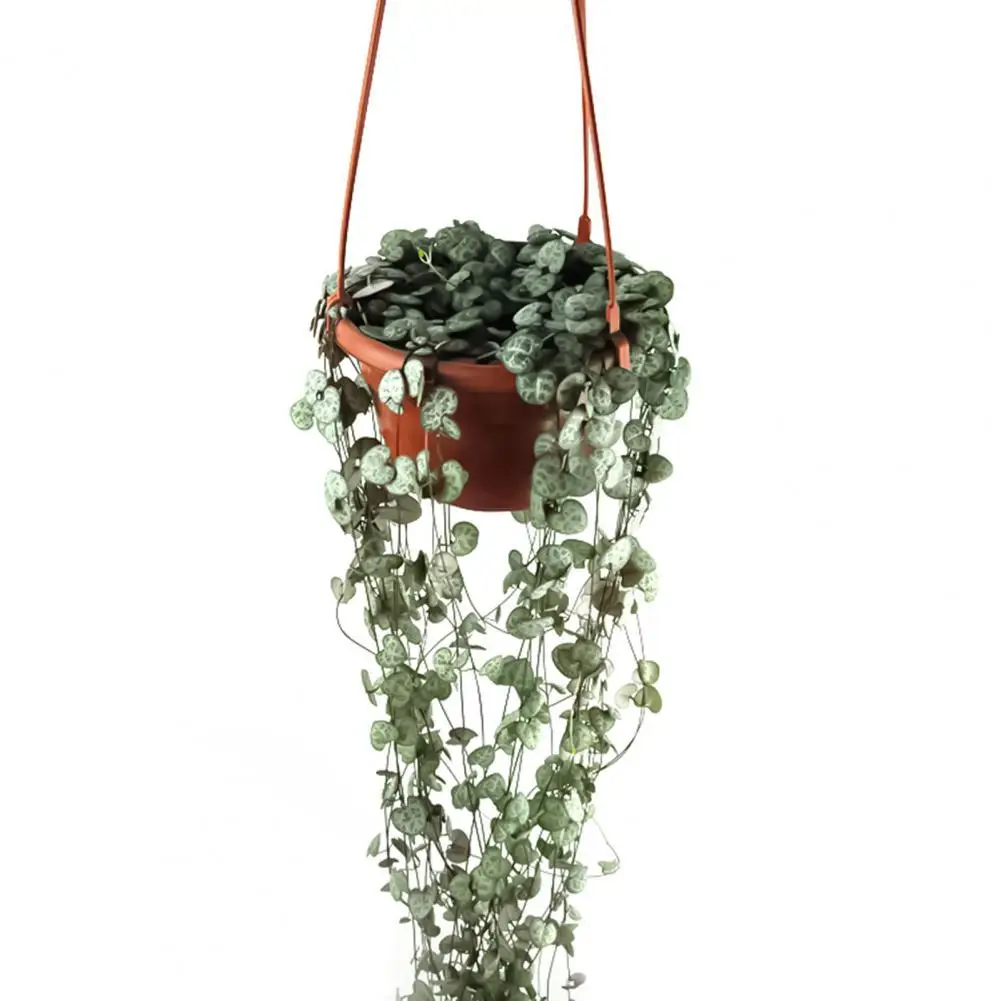 

Wholesales Flower Basket Reusable Heighten Plastic Hanging Planter Decor Pot for Outdoor