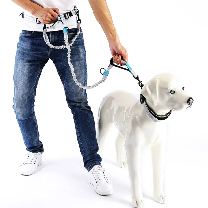 

Pet Run Traction Rope Reflective Leash Pet Dog Running Belt Elastic Hands Freely Jogging Pull Dog Leash Adjustable Travel Leash