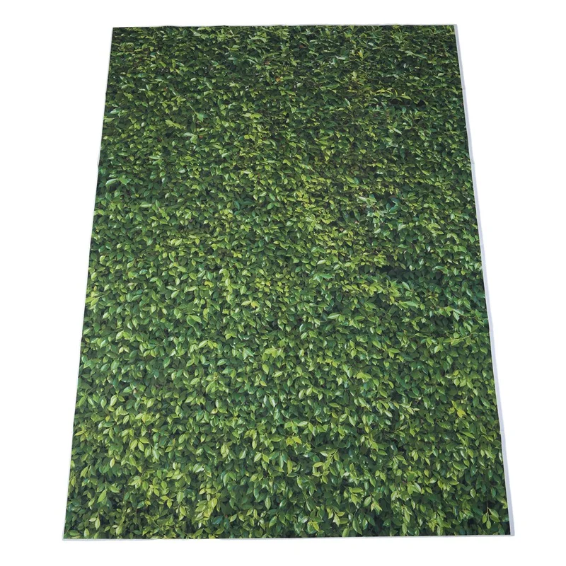 

5x7ft(150x210cm) Nature Green Grass Backdrops Photography Wedding or Children Birthday Background