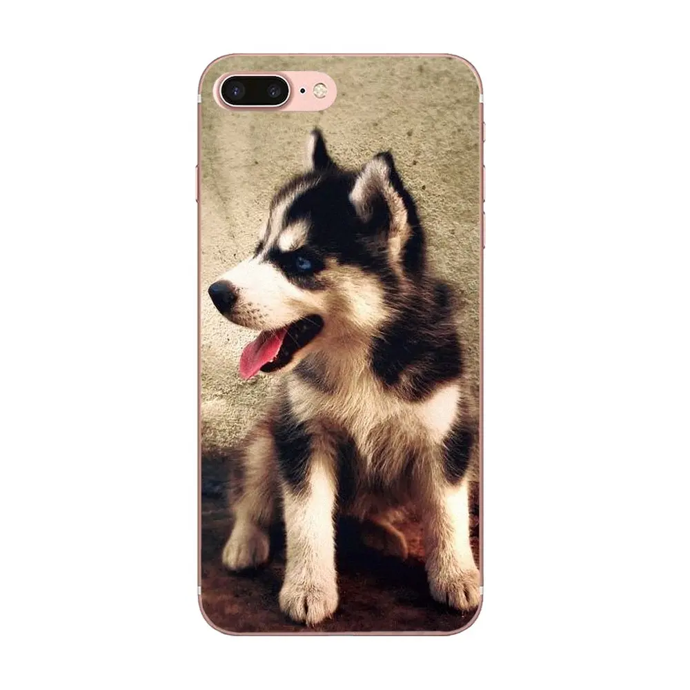 Мягкие чехлы Capa Lovely Animal Husky Puppy для Huawei Honor 4C 5A 5X 6A 6C 6X 7X 9 V8 V10 Mate 7 8 10 P9 P20 Pro Lite Play |