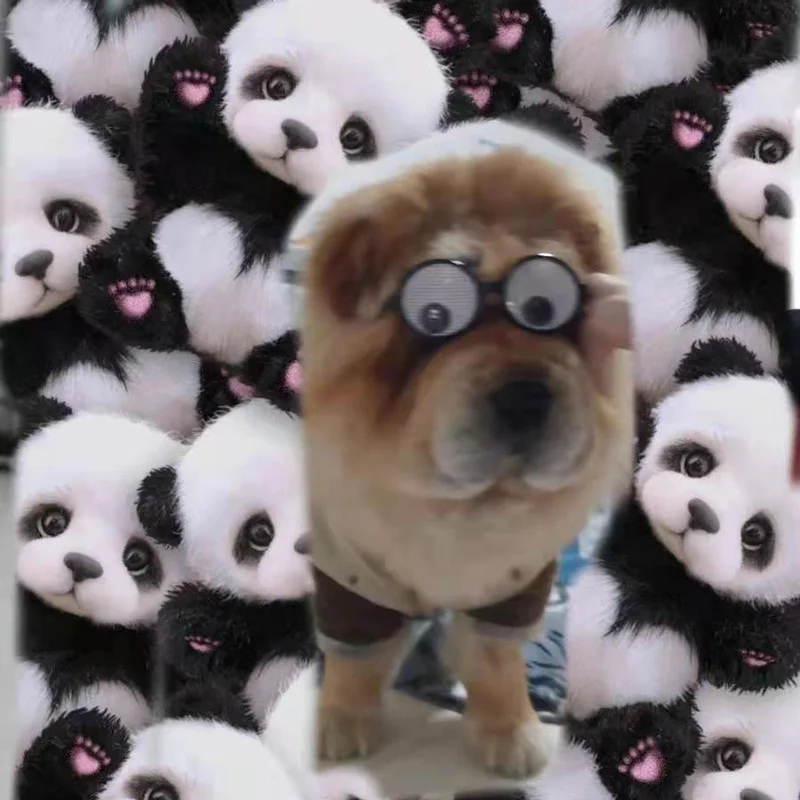 1 шт. поп модный Pet очки собака игрушки подходит для больших собак аксессуары