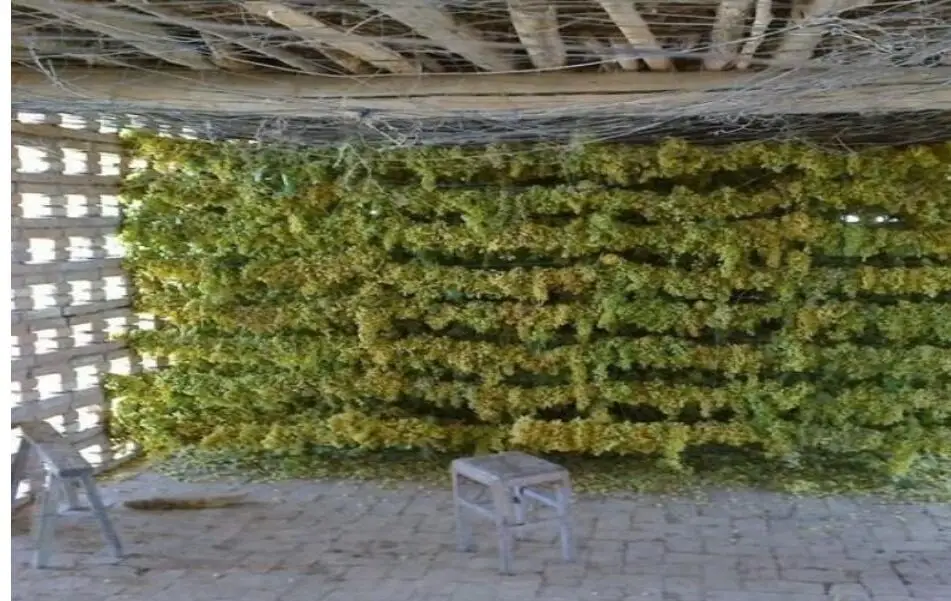 Изюм Синьцзян с натуральным ароматом 500 г | Дом и сад