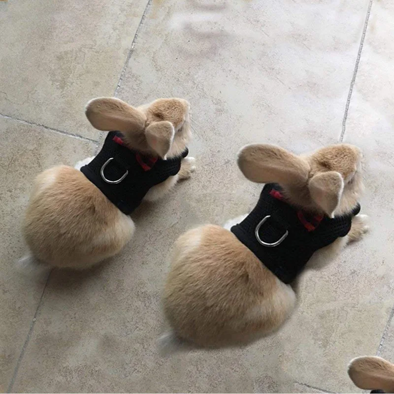 Небольшая домашняя дробилка для ПЭТ Жилет Жгут поводки собак на открытом воздухе