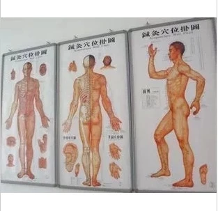 3pcs/sets Human Meridian Acupuncture Point Health Therapy Medical Massage Acupuncture Acupoints Map In Chinese-English