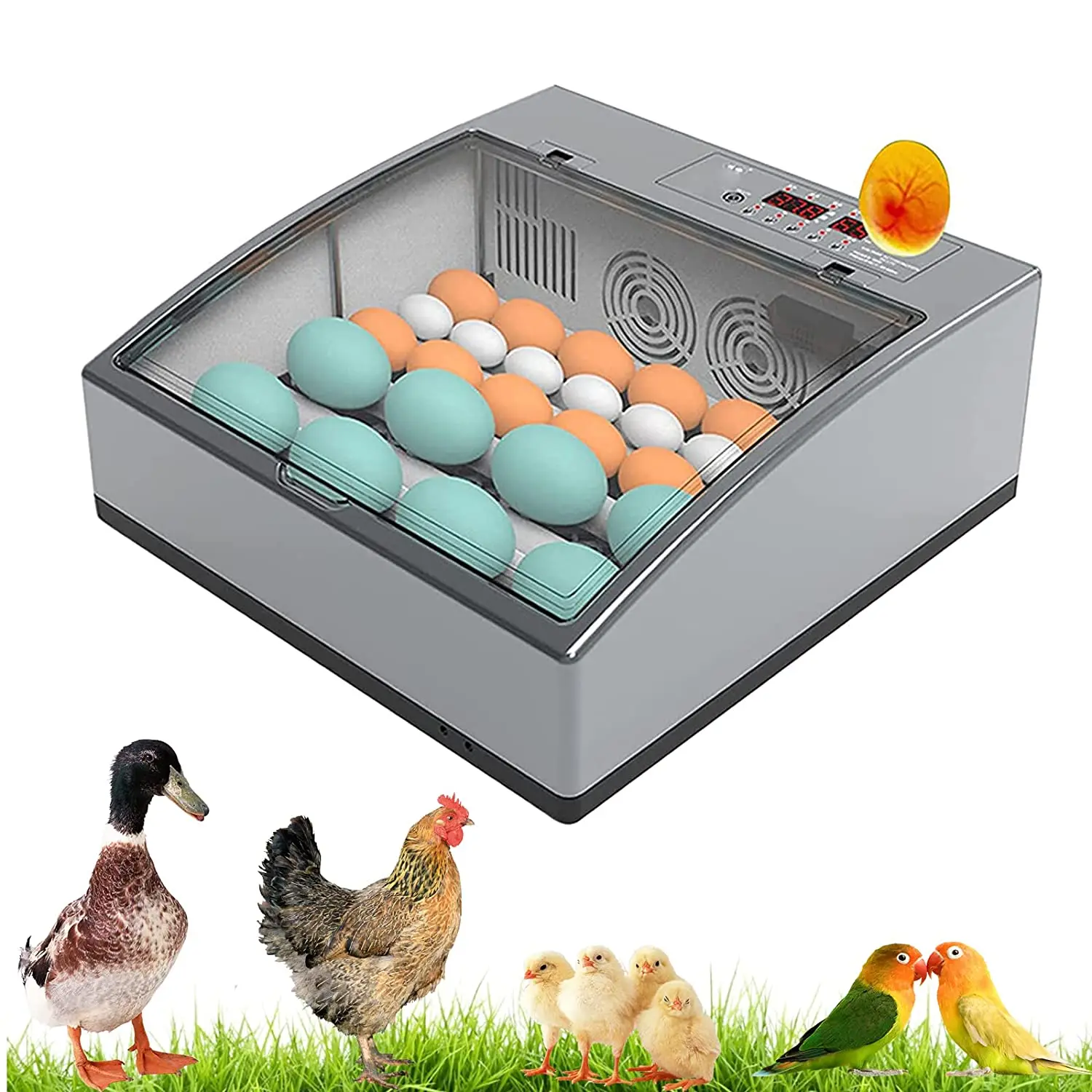 

Newest Egg IncubatorIncubator 16 Eggs Brooder Automatic Home Incubator Chicken Quail Pigeon Incubator Farm Chick Quail Hatcher