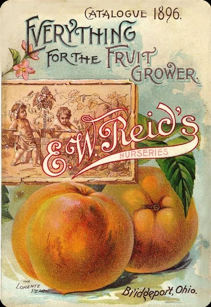 

Vintage Farm Catalogue 1896 Everything for the Fruit Grower Metal Tin Sign 8x12 Inch Retro Home Vegetable Fruit