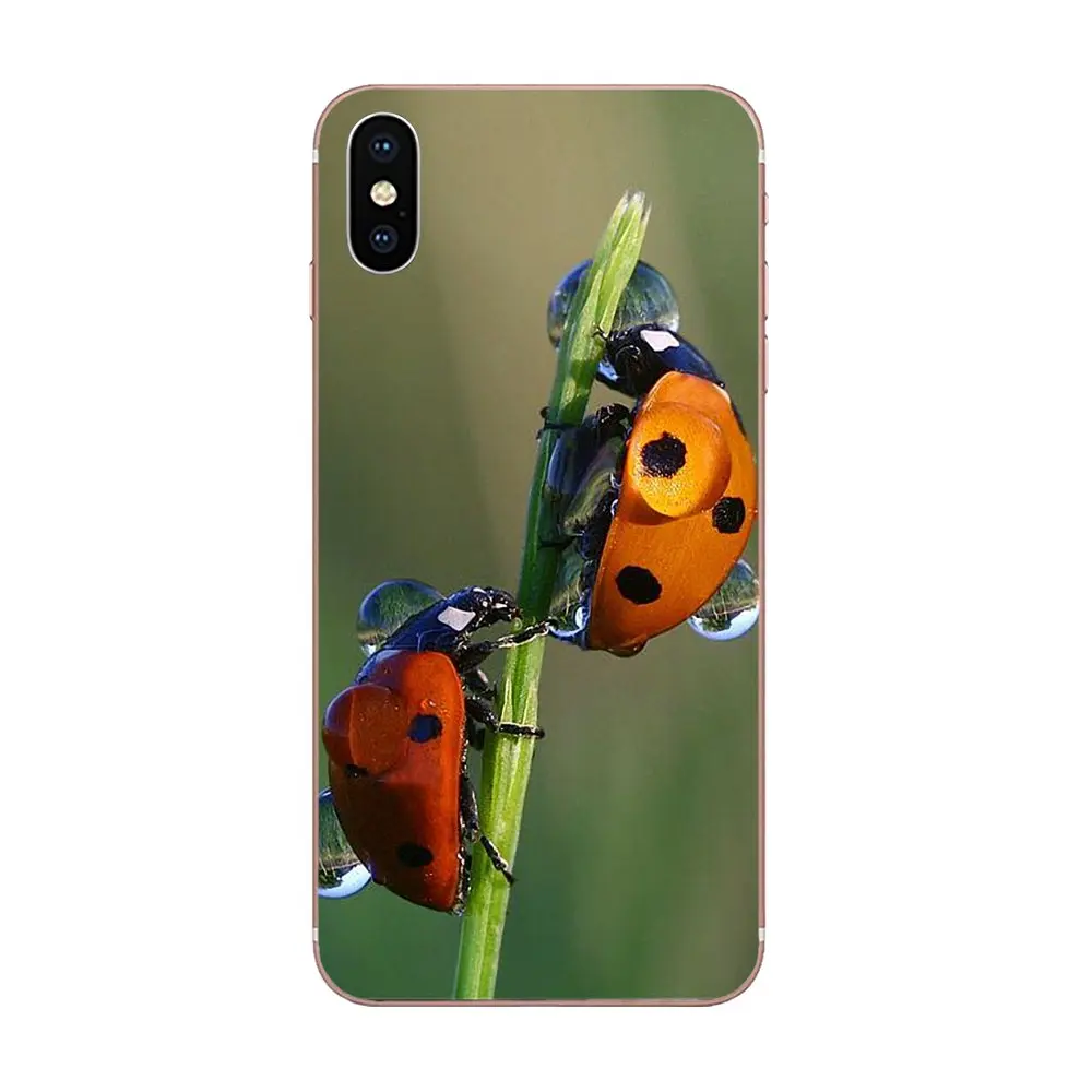 Стильные божьи коровки для Xiaomi Redmi Mi 4 7A 9T K20 CC9 CC9e Note 7 9 Y3 SE Pro Prime Go Play мягкие чехлы