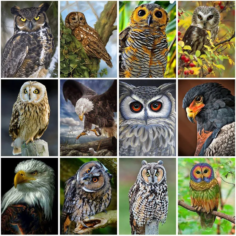 

5D DIY Diamond Painting Eagle Diamond Embroidery Cartoon Diamond Embroidery Cross Stitch Picture Resin Wall Art Home Decor Gift