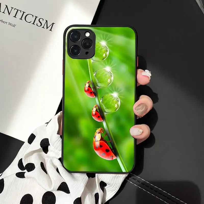 

Coccinella daisy animal Phone Case matte transparent For iphone 7 8 11 12 plus mini x xs xr pro max luxury shell coque cover