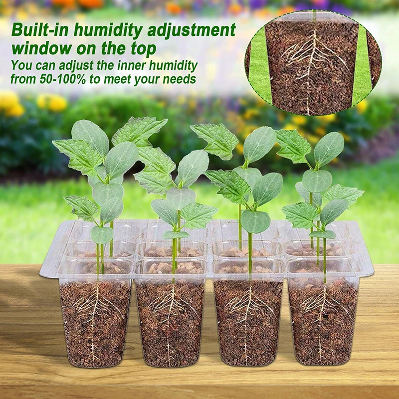 

6/12 Hole Transparent Nursery Pot Tray Garden Plant Succulent Flower Vegetable Seed Propagation Grow Box