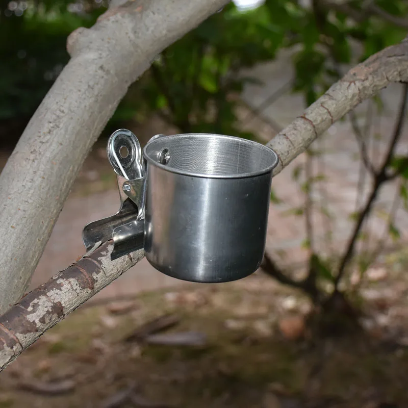 10 шт. держатель для попугаев из нержавеющей стали|Кормление птиц| |