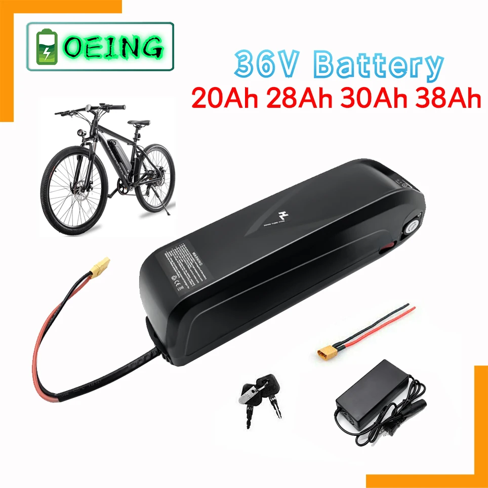 

48V 20AH Electric Bicycle Lithium Battery 13S Hailong Shell For Scooter Motor Less Than 1000W With 25A BMS And Charger