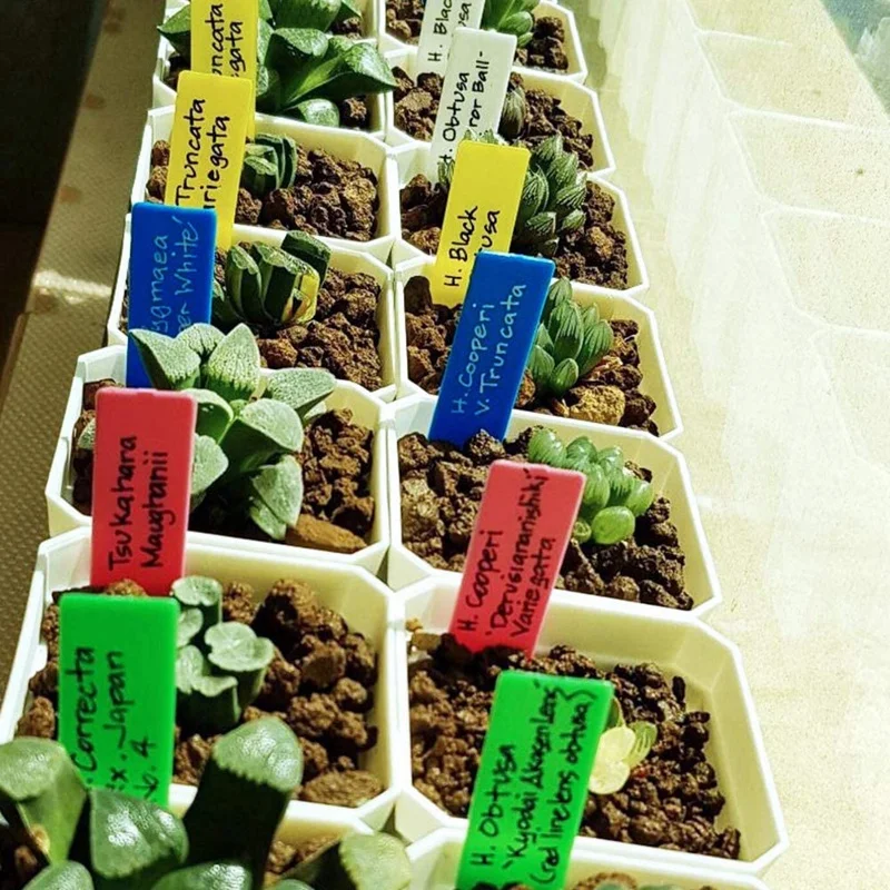 500 шт. толстые ярлыки для растений и травы этикетка Пластик овощей фруктов на