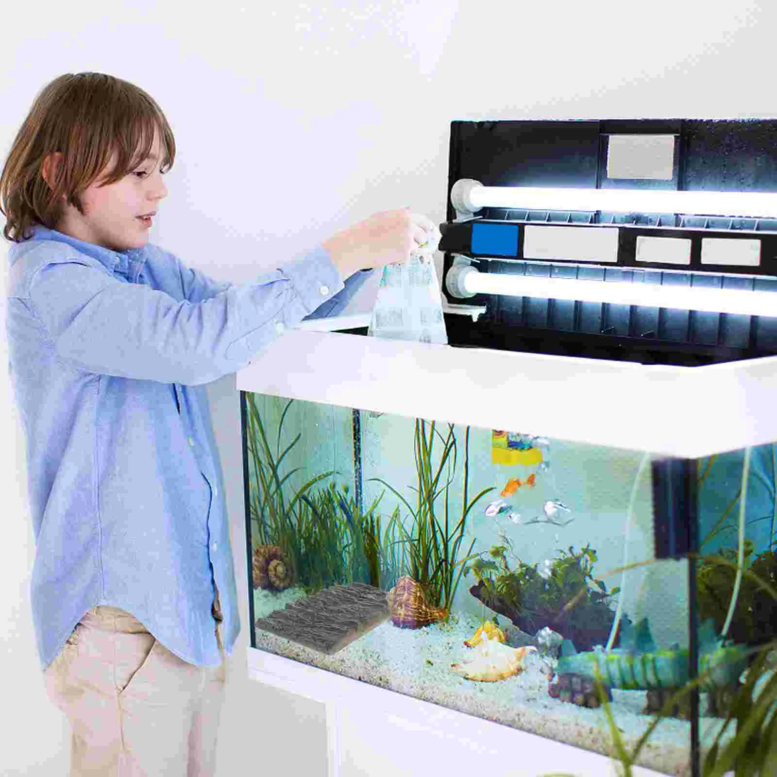 1 шт. аквариумный декоративный фон для рептилий | Дом и сад