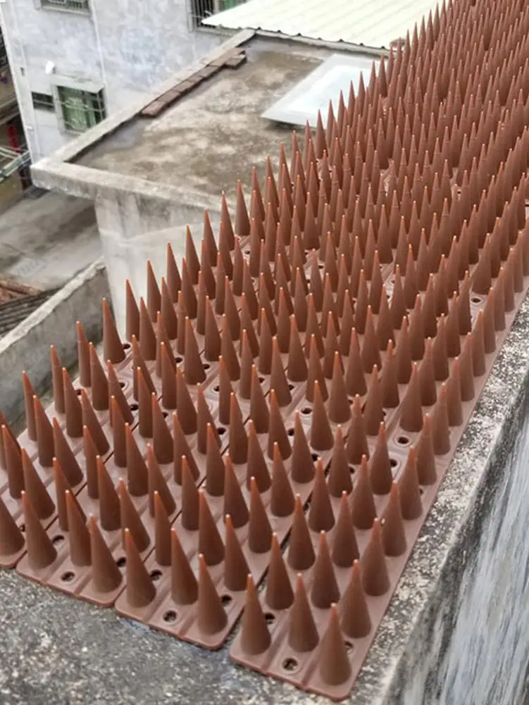 

10PCS/Set Bird Spikes Keep Cat Bird Away Protective Fence Spike Bird Anti Bird Anti Pigeon Spike For Pest Control