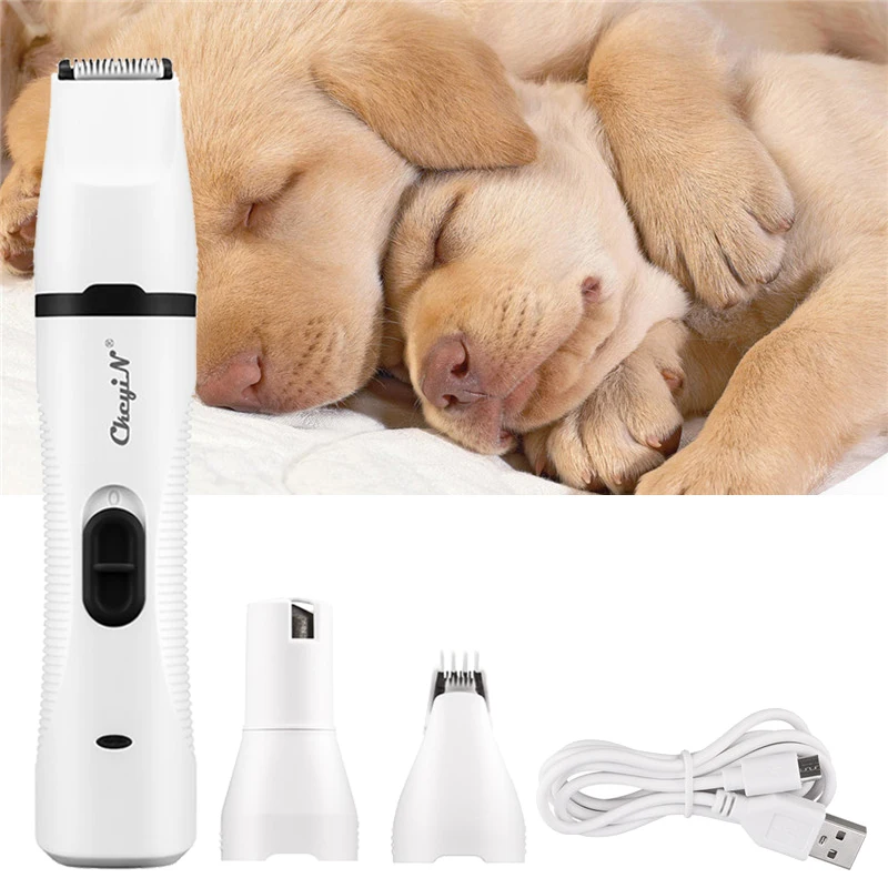 

Personal Care Appliances