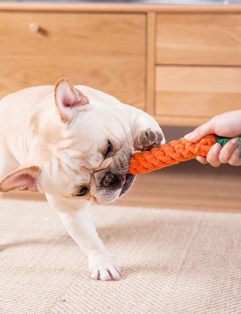 1 pcs Carrot Shaped Knot Ropes Pet Dog Toys Chew Cat Toy Safe for Small Dogs Molar Biting Playing Products Accessories | Дом и сад