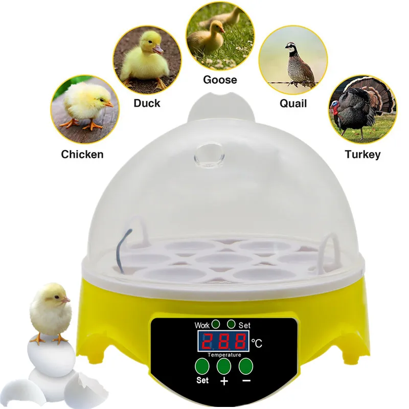 Мини 7 инкубатор для яиц автоматический птицы Брудер цифровой температуры Курица