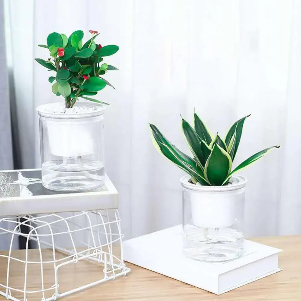 

Lazy Flower Pot Clear Automatic Water Absorption Self Watering Hydroponic Flower Pot Planter Creative Succulent Plant Flower Pot