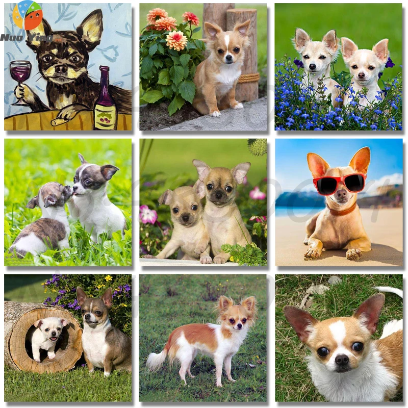 Полный дрель круглый 5D Diy алмазная живопись Чихуахуа Алмазная вышивка собаки