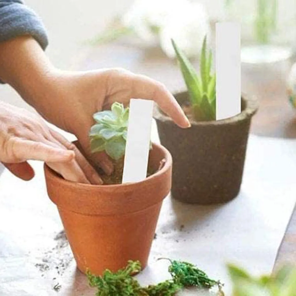 

100PC Plant Pot Markers Garden Nursery Plastic Stake Tags Labels semillas de flores