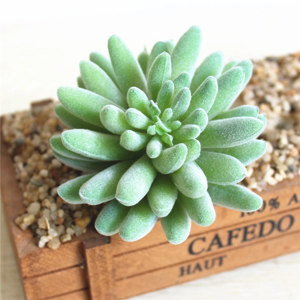 Искусственный суккуленты жемчуг зеленая лоза цветы подвесной ротанговый