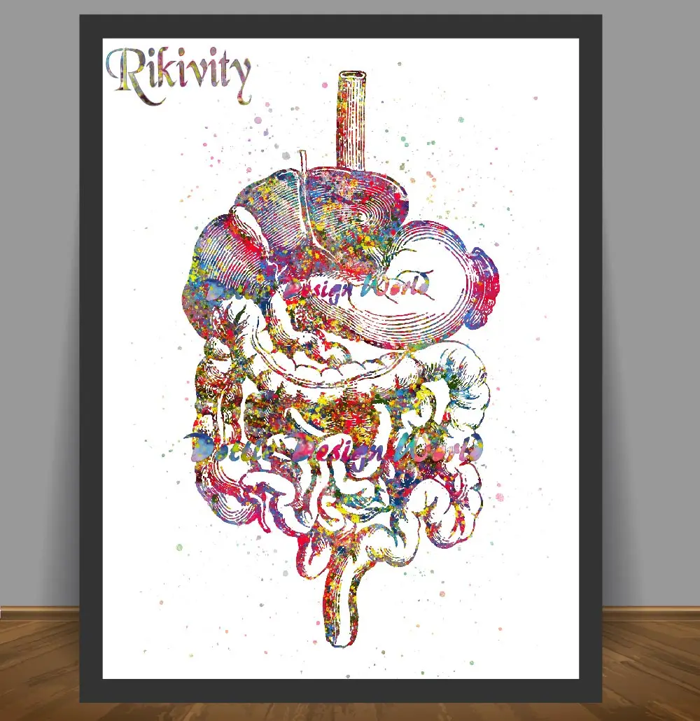 Rikivity человеческий анатомический плакат печать холст картина медицинский