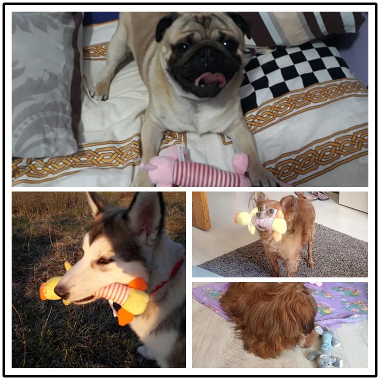 

Dog Cat Pet Chew Toys Canvas Durability Vocalization Dolls Bite Toys for Dog Accessories Pet Dog Products High Quality Cute