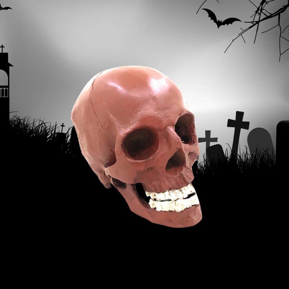 

Lifesize 1:1 Human Model Replica Resin Anatomical Tracing Teaching Skeleton Decoration Statue