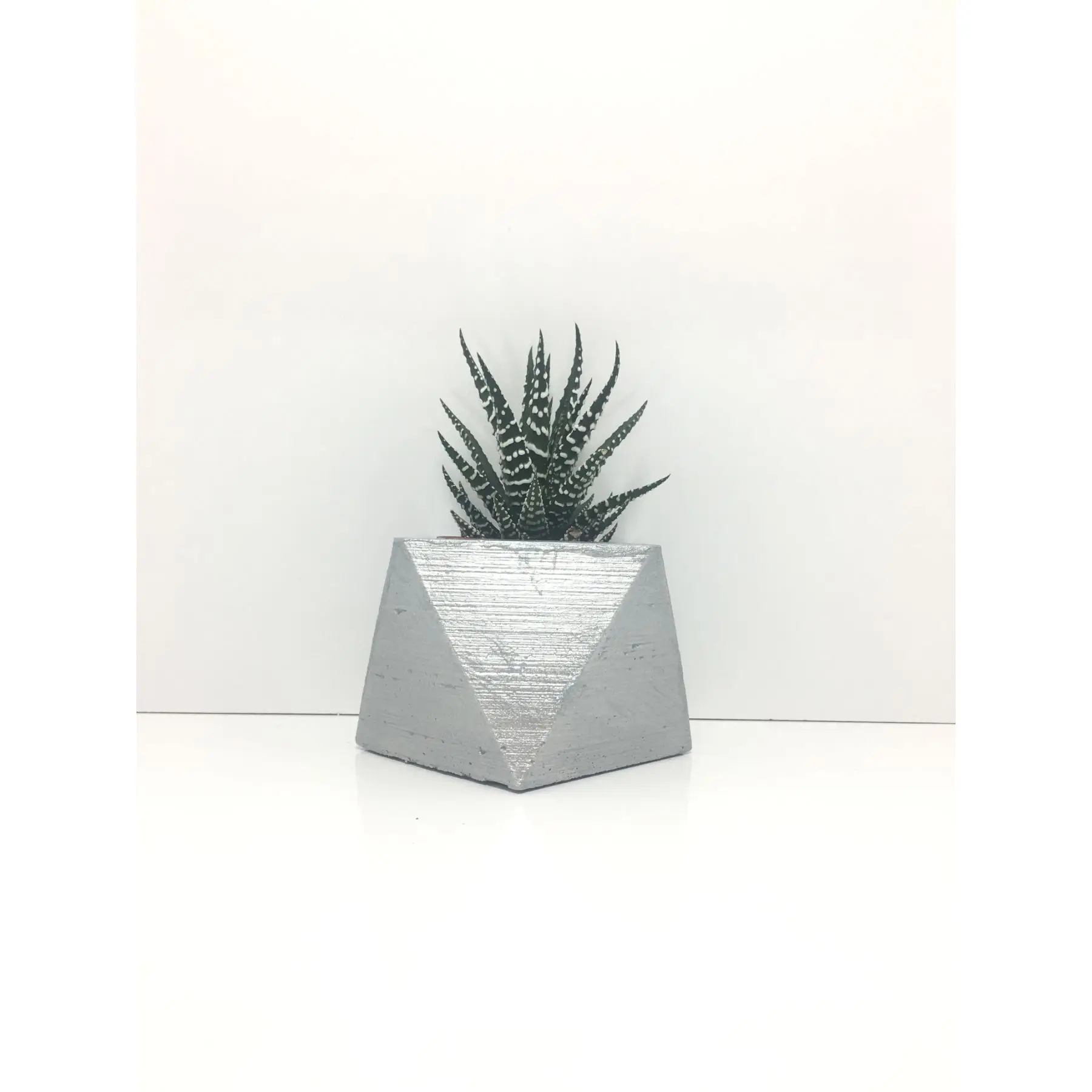 

Square Concrete Pot and Live Sukulent - YE1606