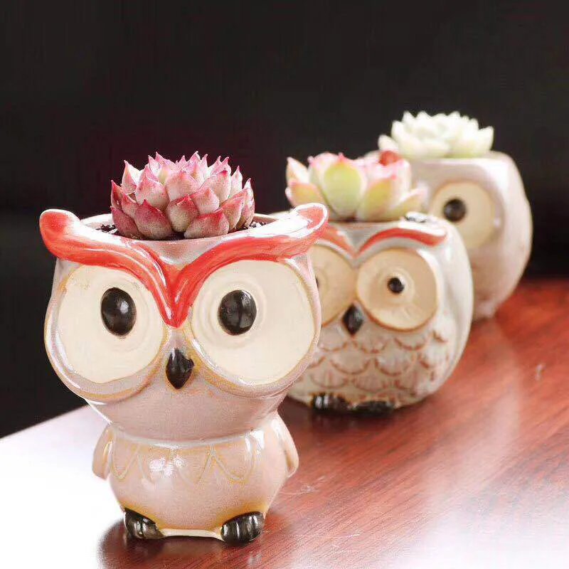 6 шт. суккуленты цветочный горшок глазурь база растительный контейнер Плантатор