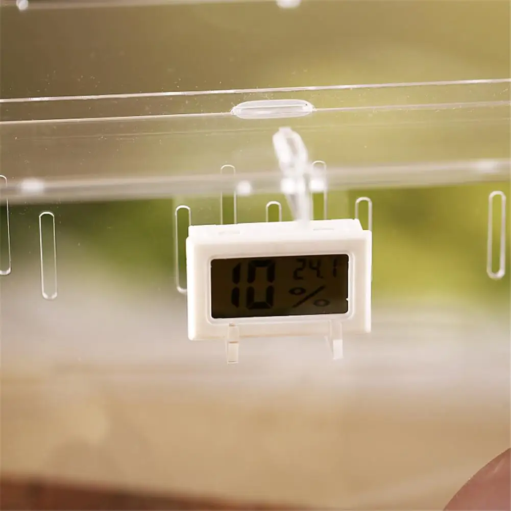 Acrylic Terrarium Spider Breeding Box Reptile Feeding For Climbing Pet Snake Lizard Scorpion Centipede | Дом и сад
